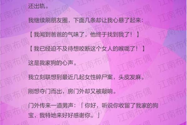 童子命人最爱的动物：你知道他们的宠物心声吗？