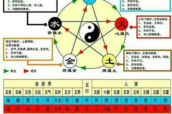 腊月土命解析：探索命理与五行的奥秘