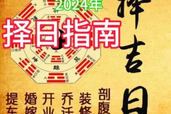 1946属狗女性的命运解析：机遇与挑战并存的精彩人生