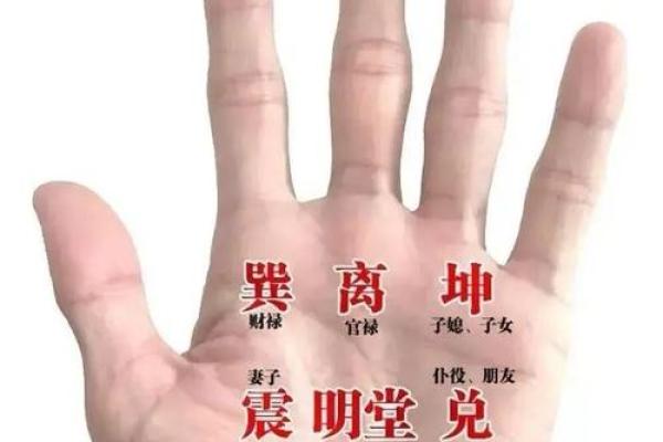 手纹薄，命格深：看看你的手掌揭示了什么秘密！