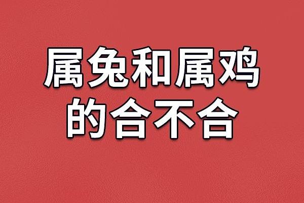2023年属鸡宝宝的命运解析：五行与性格的微妙关系