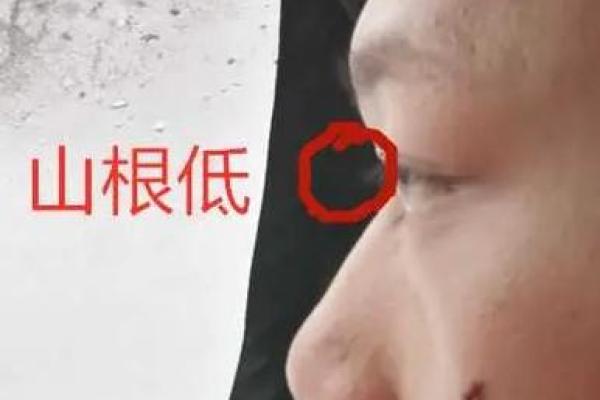 揭秘鼻子山根细的命运特征与生活影响