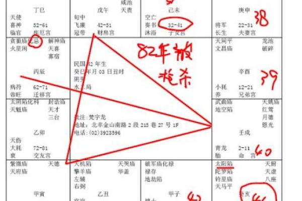 紫薇中年命：揭示生肖与命运的深刻联系
