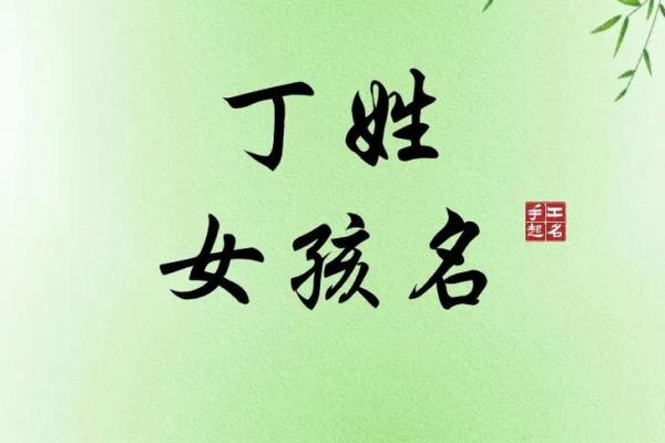 2004年出生女孩的命运与发展：解读性格与未来的可能性