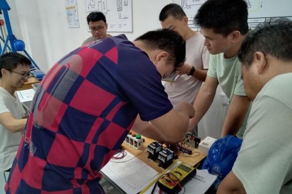 探索命理学的奥秘：入门之路的全景指南