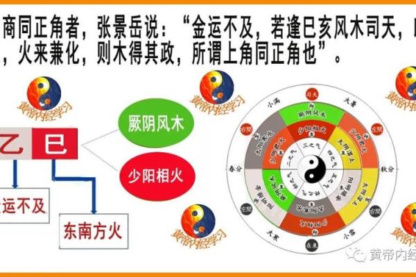 丙子辛丑戊辰庚申命理解析：寻觅生命的奥秘与转机