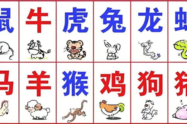 1987年属龙的命理解析：如何把握财富与机遇
