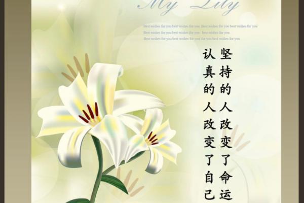 与女人无缘：命运的无奈与追寻人生的意义