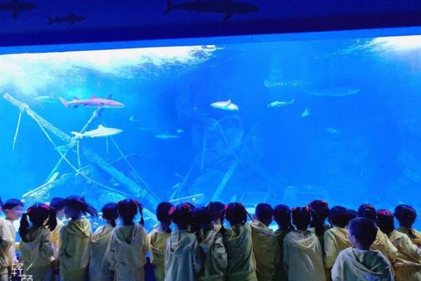 2019年1月1日出生的孩子，命运与未来的探索之旅