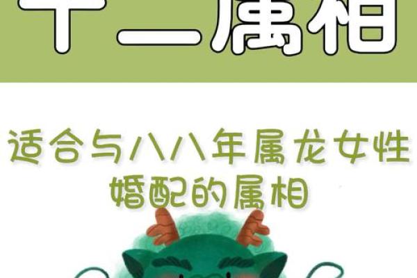 88岁属鸡的命运解析：智慧与财富的完美结合