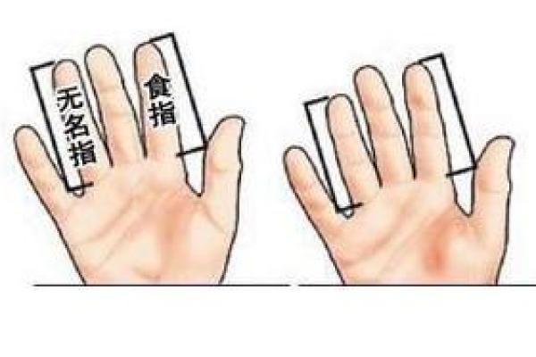男性手指短的命运解读：如何影响你的生活与性格