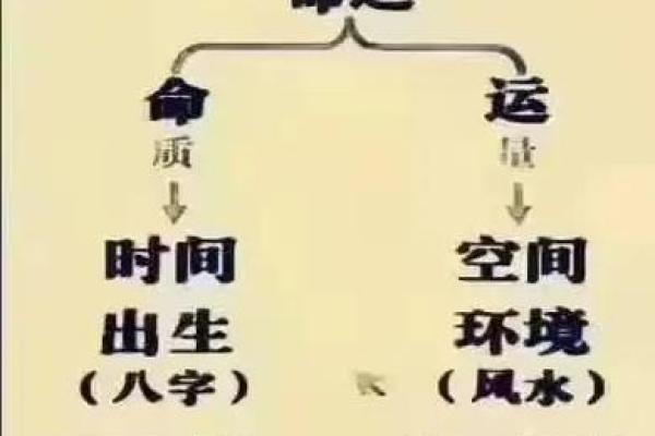 老头命格的奥秘：深探“老”字背后的智慧与命运
