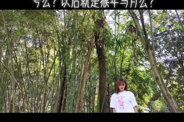 68年出生的猴子是什么命？揭秘猴年的命理特点与性格分析