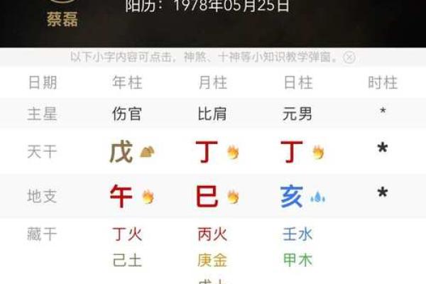 探索己亥日柱的命理：揭开命运的神秘面纱
