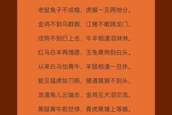 87年出生的兔子：命理解析与人生智慧的结合