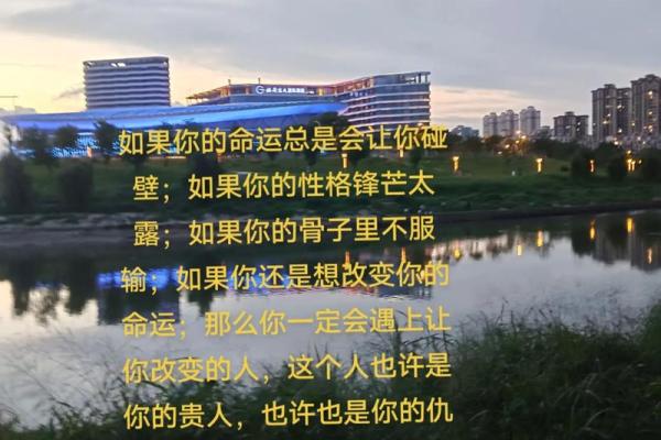 1996年属鼠的命运与性格：幸福生活的指南