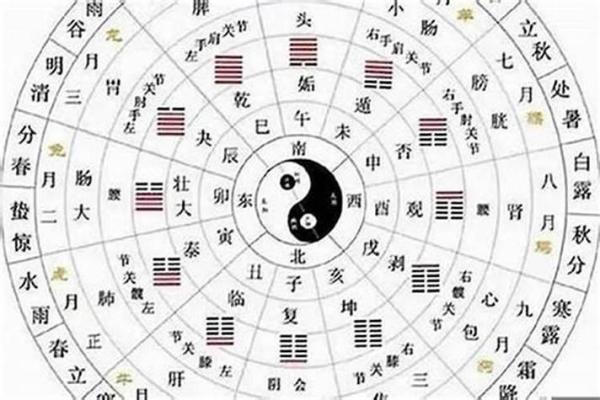 探索凌晨五点的命理之谜：你的命运与时辰的关系