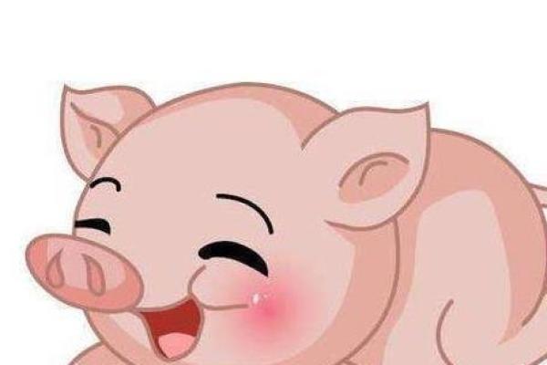 关于蝴蝶命的生肖解析：揭示生肖鼠的天赋与命运