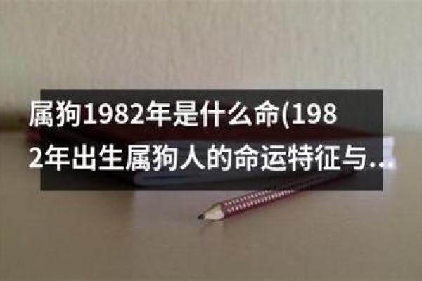 1982和1983年出生的命运解析：人生道路的不同选择与挑战