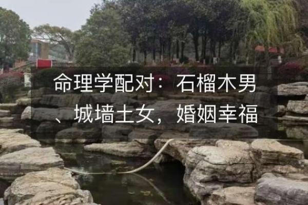 探索命理：夫妻最佳配对的秘诀与技巧