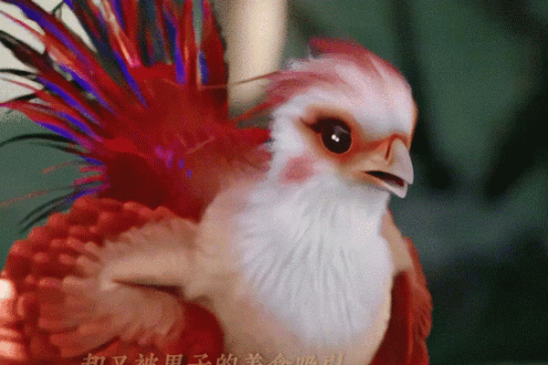 卯时出生的人：前世今生的命运解析与生活启示