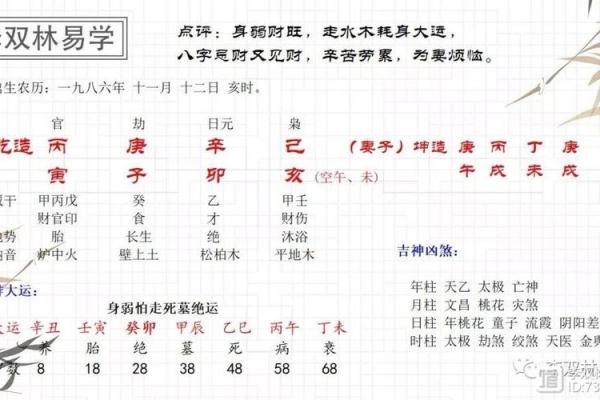 乙巳丙寅命格解析：揭示命运与性格的深层联系