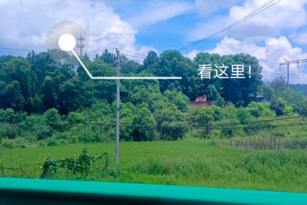 属猪寅时女孩的命运解析：她们的幸福与挑战