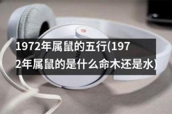 木命人适合的职业选择与发展指南