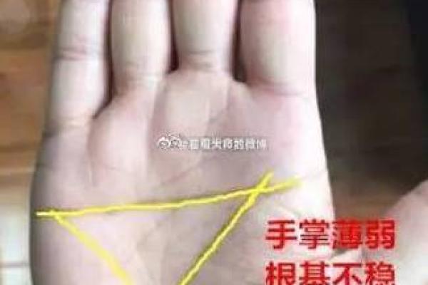 左手断掌的命格解析：揭秘你的命运与性格特征