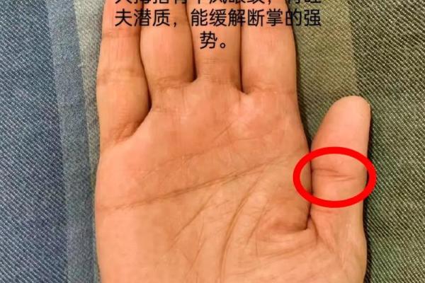 左手断掌的命格解析：揭秘你的命运与性格特征