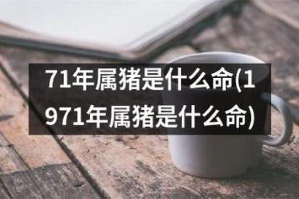 2007年属猪命缺什么？解密命运与幸运的密码