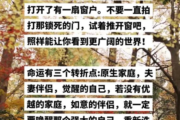 解读有学问之人的命运：智慧与成功的交织之路