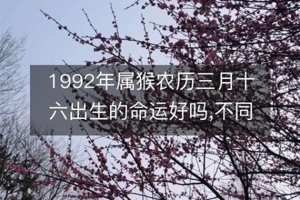 1992年属猴女性命运解析：智慧与魅力并存的一生