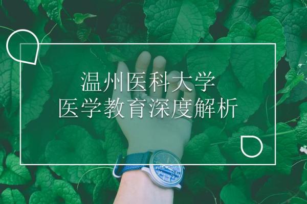 2014年兔年运势解析：命理与运势的深度探讨
