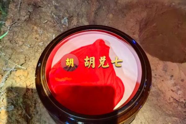 2024年男宝宝命运分析：命理与性格的完美结合