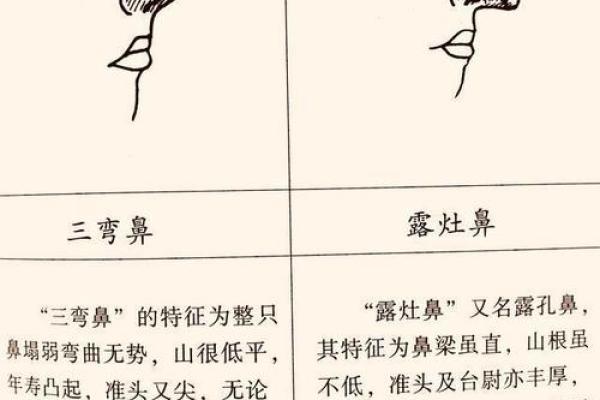 鼻头小的人命运解析：从面相看人生