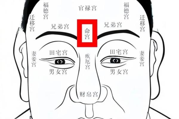 无眉女人的命理解析：揭开神秘面纱，探索内心潜力与未来运势