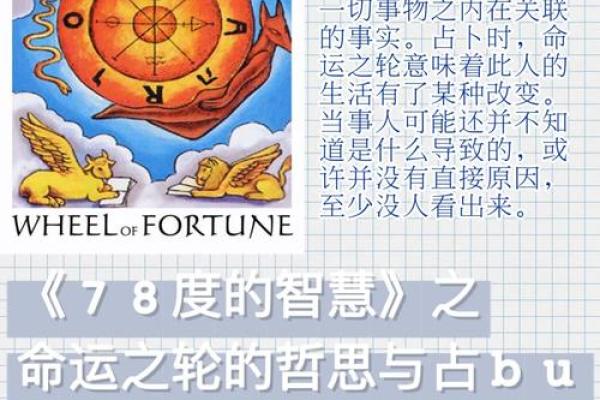 扔硬币的人：命运的选择与生命的哲学探讨