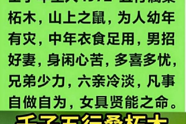 二零一九年：木命年华，生机勃勃的希望与成长之旅