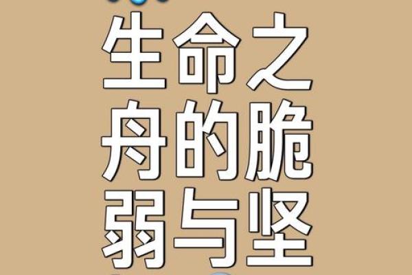 命运的脆弱与坚韧：探讨人生的起伏与抗争