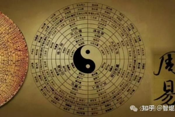 根据出生日期，揭示你的命运与人生轨迹！
