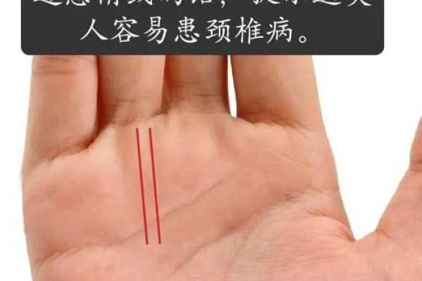 2023年龙宝宝命运解析：揭示运势与性格魅力的玄机