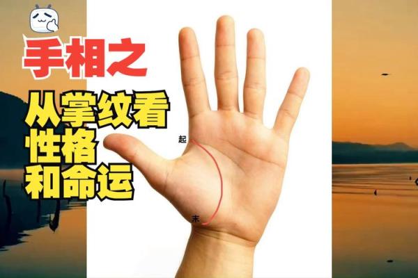 探索2004农历正月出生者的命运与性格特点