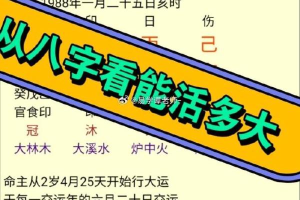 婚姻命理分析：从八字看婚姻的奥秘与未来