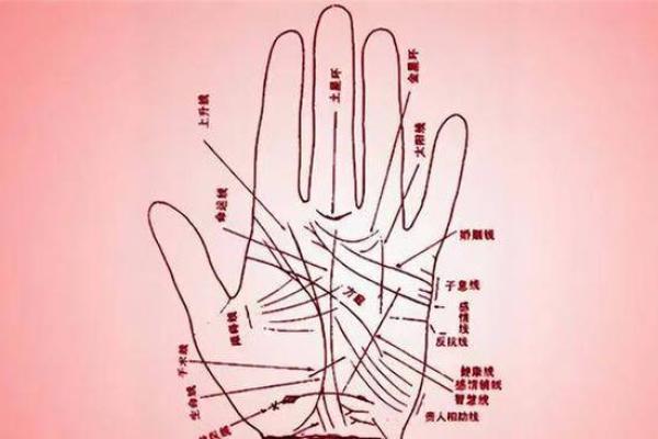 手指纤长的女生，命运如何？解读手相与性格的巧妙联系
