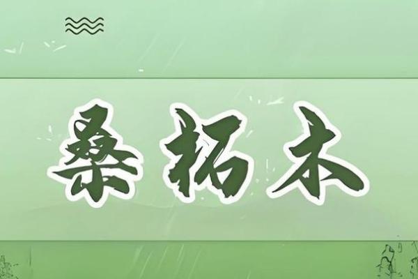 木命之人如何选择适合的配饰，提高生活质量与运势？