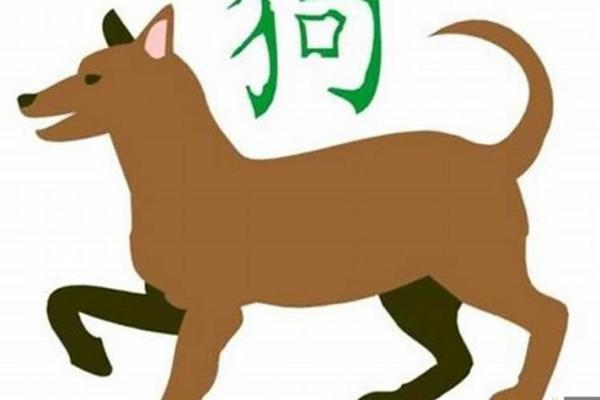 2019年属狗男命运解析：如何把握机遇与挑战，走向成功人生！