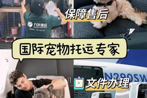 揭示命盘中的留学密码，如何判断出国留学的机会？