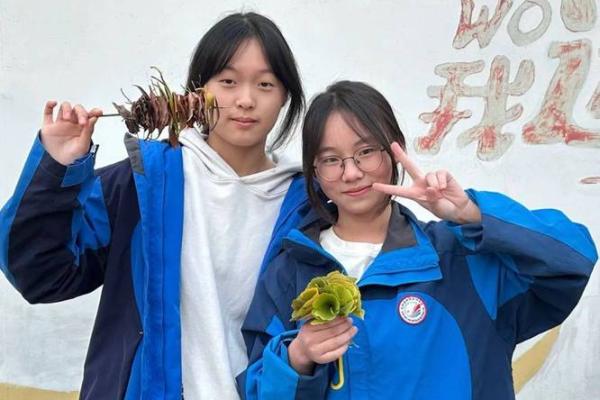 探寻木命女孩的色彩密码，助你绽放自然之美！
