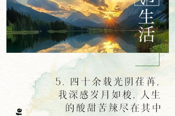 61岁的人生智慧：在岁月的洗礼中如何追求幸福与自我价值
